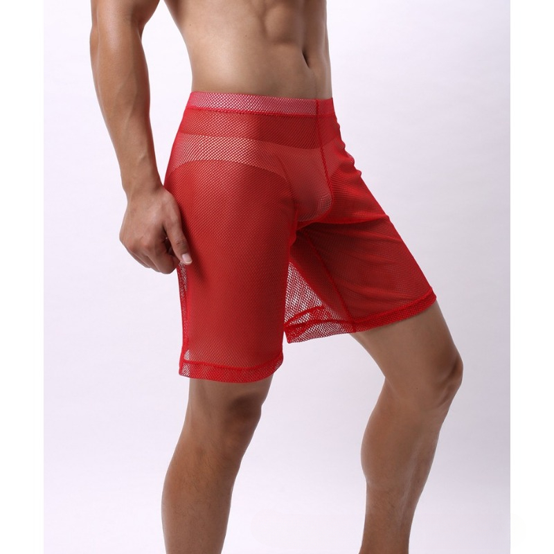 منخفضة الارتفاع شبكة المثيرة ا - مراجعة Trunk Breathable Men وسعره